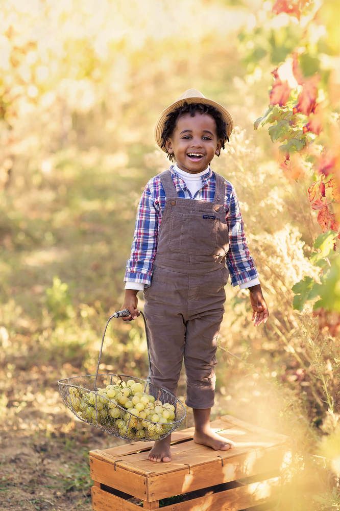 Традиционный праздник сбора винограда в Италии