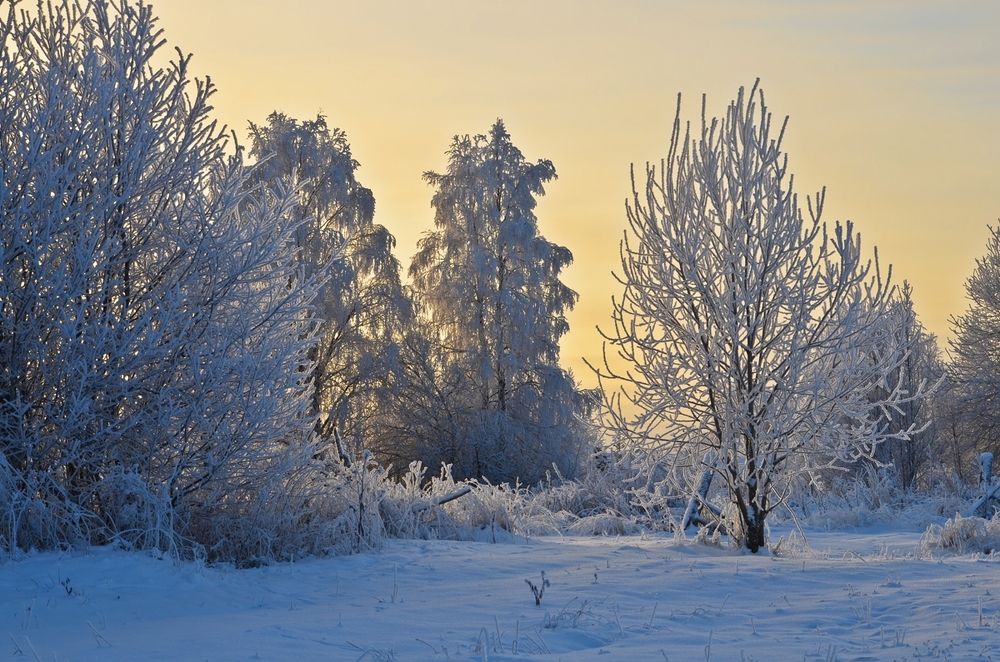 цвет заката