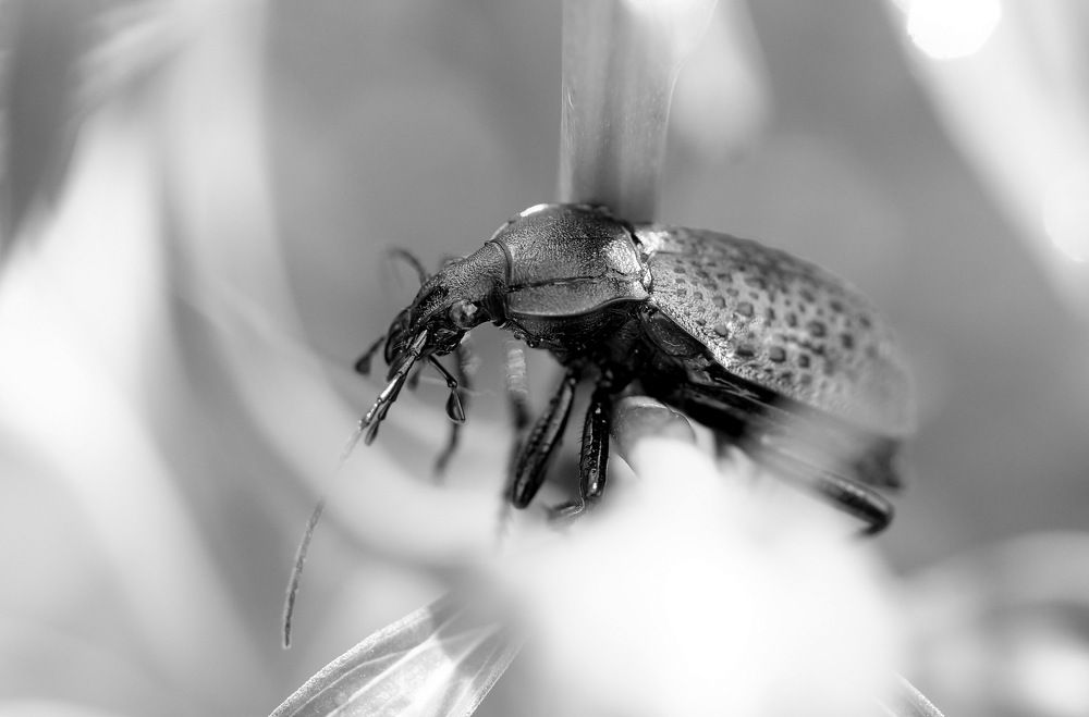 Photograph by Виктор Игнатенко.