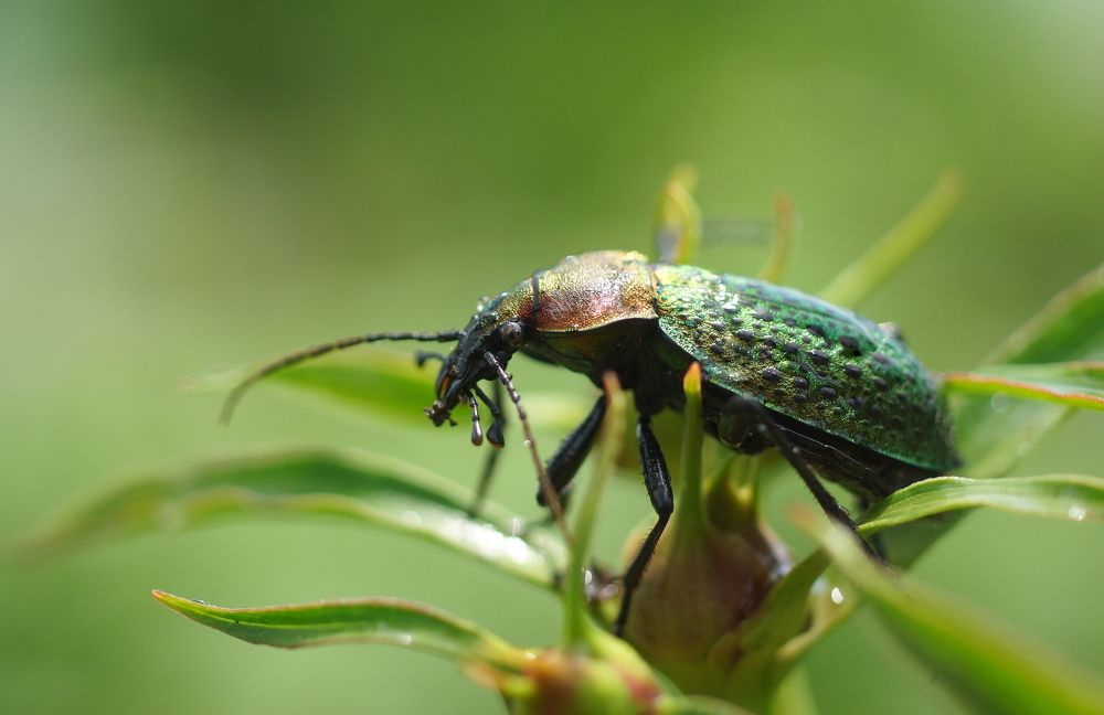 Photograph by Виктор Игнатенко.
