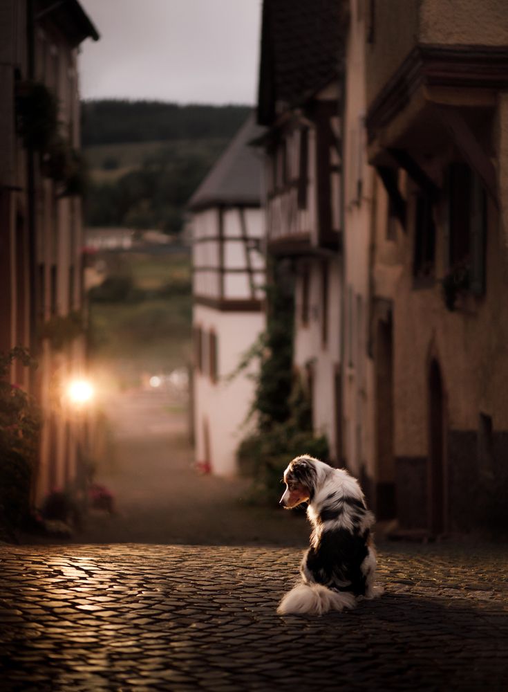 Photograph by Анна Аверьянова