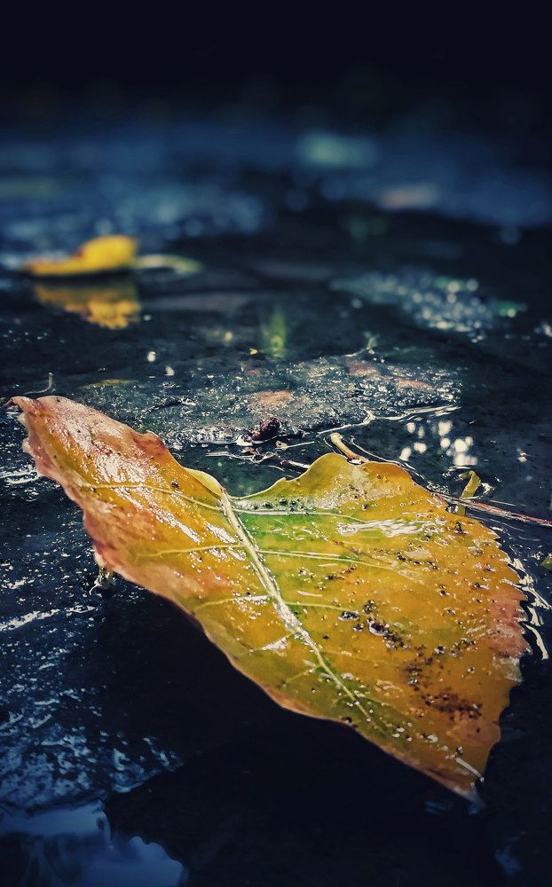 Autumn and rare rain