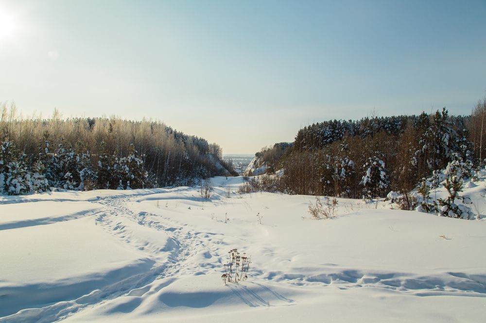 Зимняя сказка