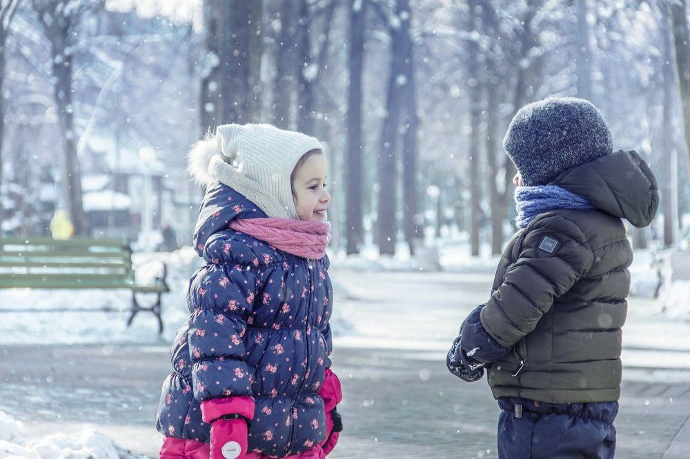 Зимний разговор