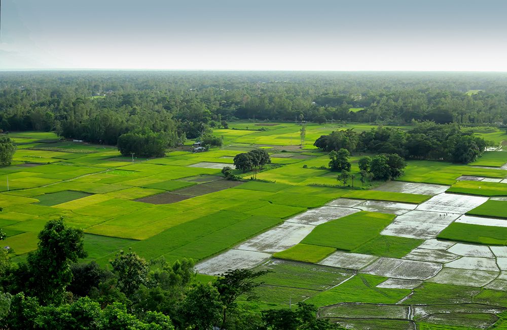 Beauty land of Bangladesh