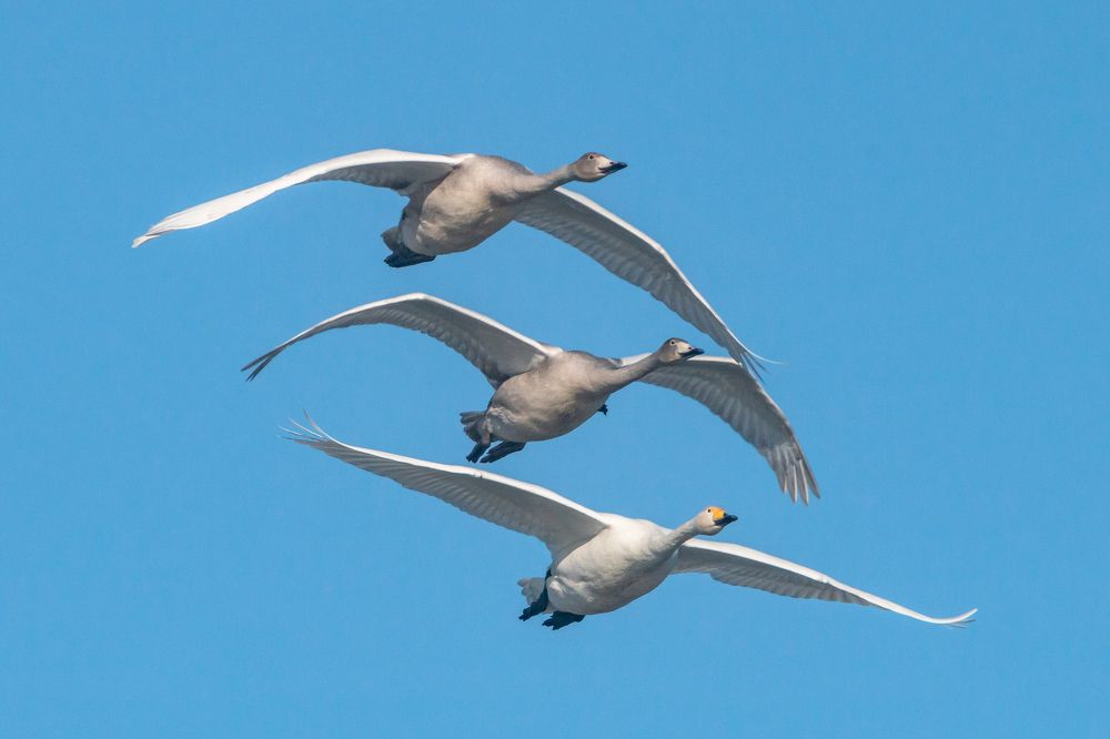 Photograph by Алексей Кашин