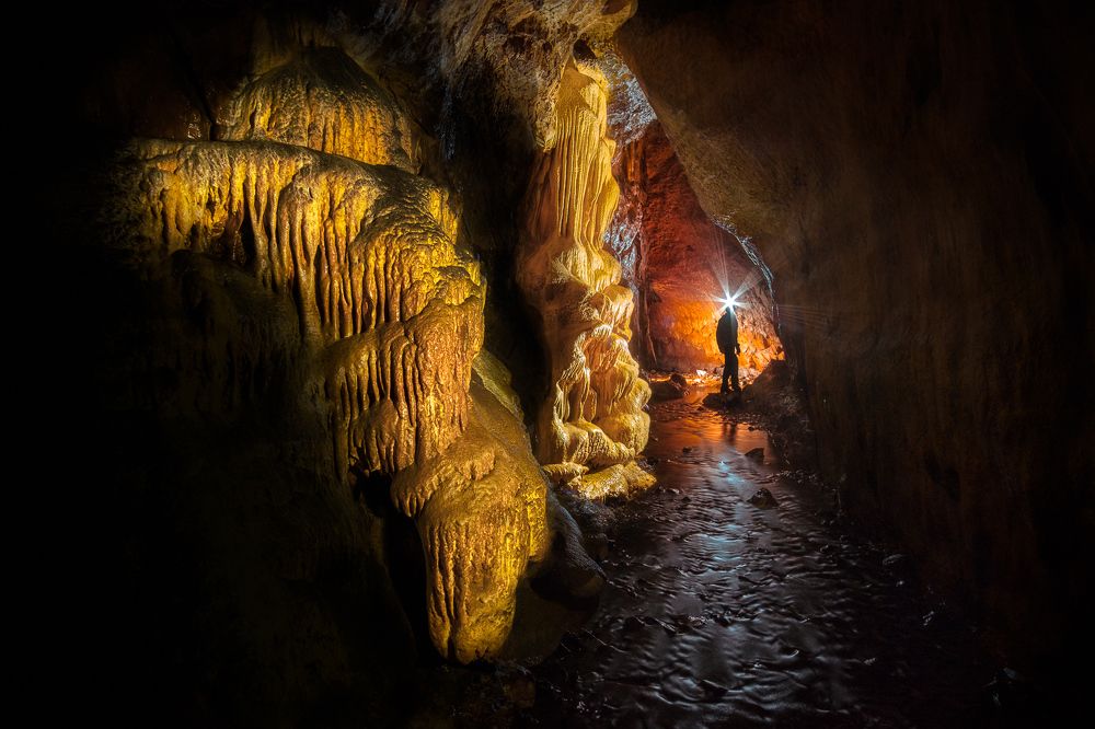 Золото Маккенны