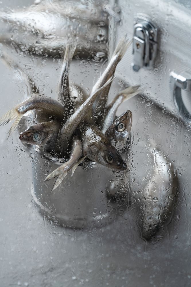 Фотография автора ЯR Ольга