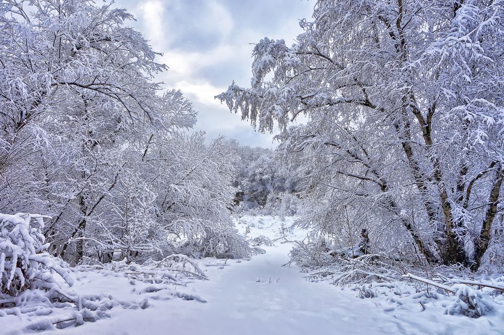 Зимняя сказка