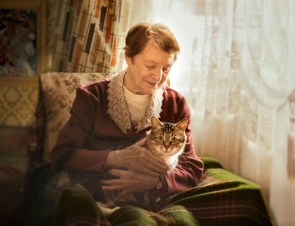 Друг старости