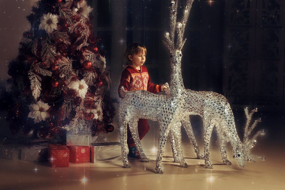 Погонщик оленей