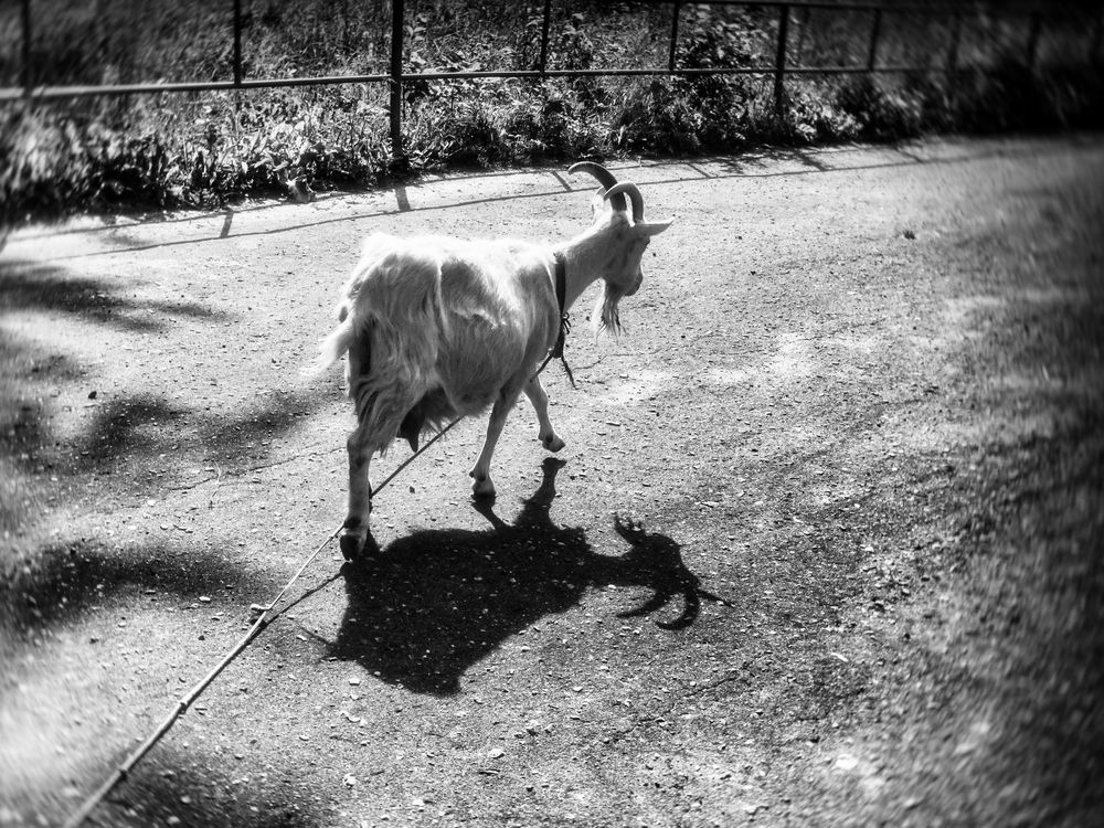 Photograph by Белова Лариса