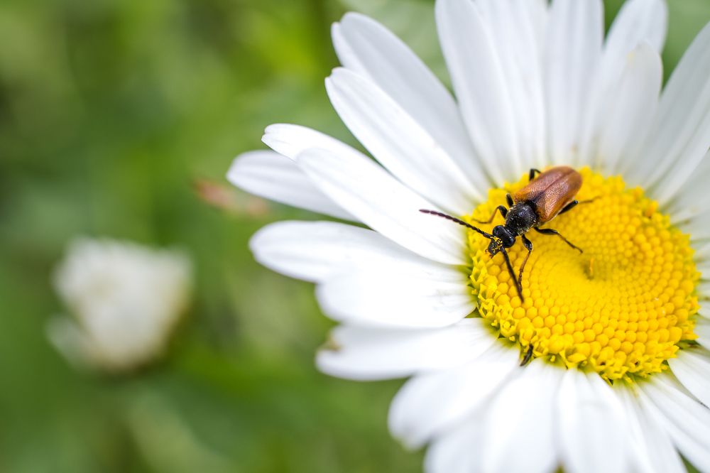 Photograph by Татьяна Мустафина