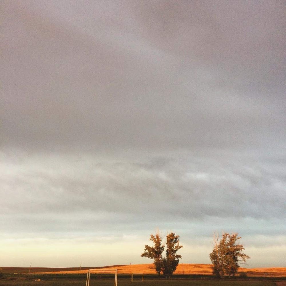 «Без названия»