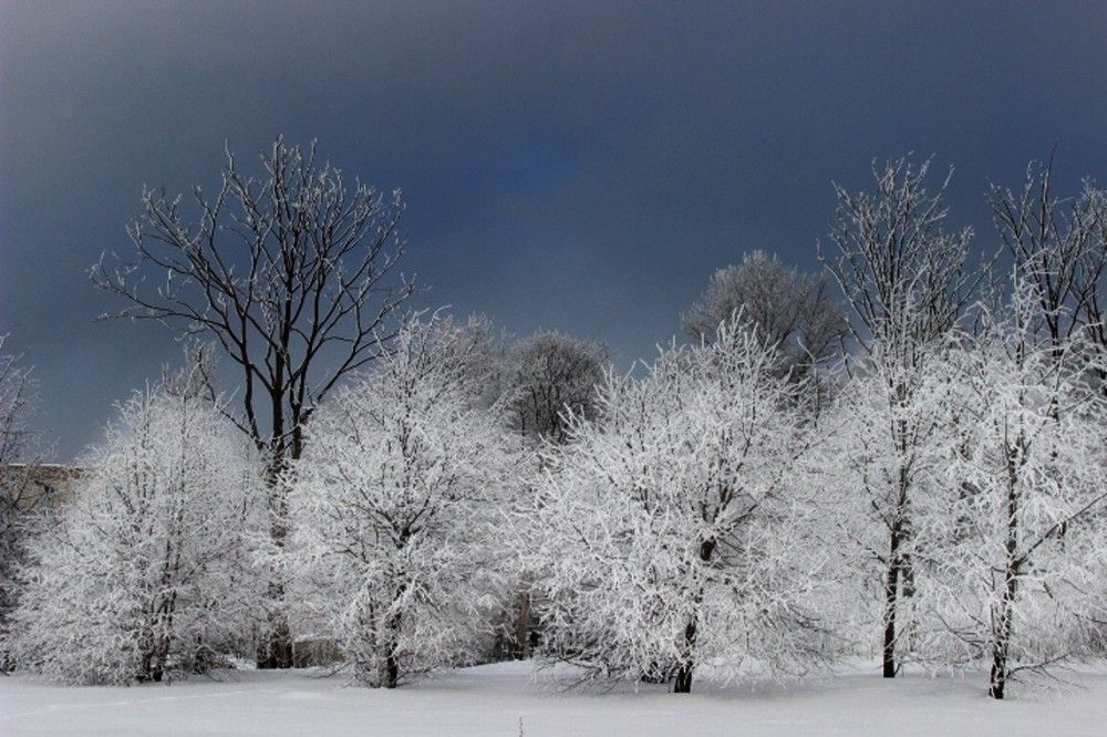 Photograph by Флорис Закреев