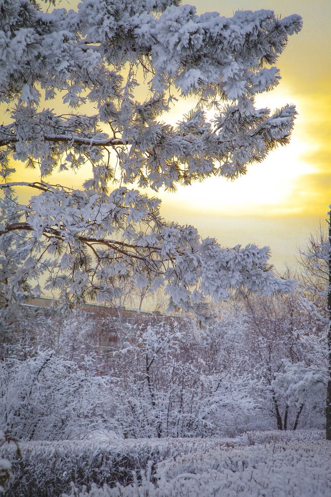 Зимние краски