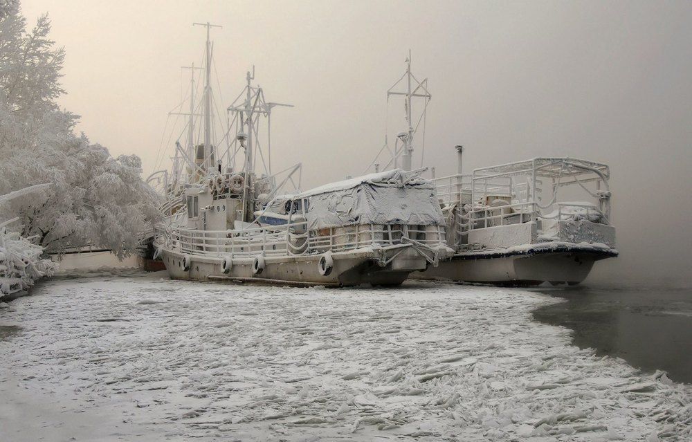 Пережить морозы.
