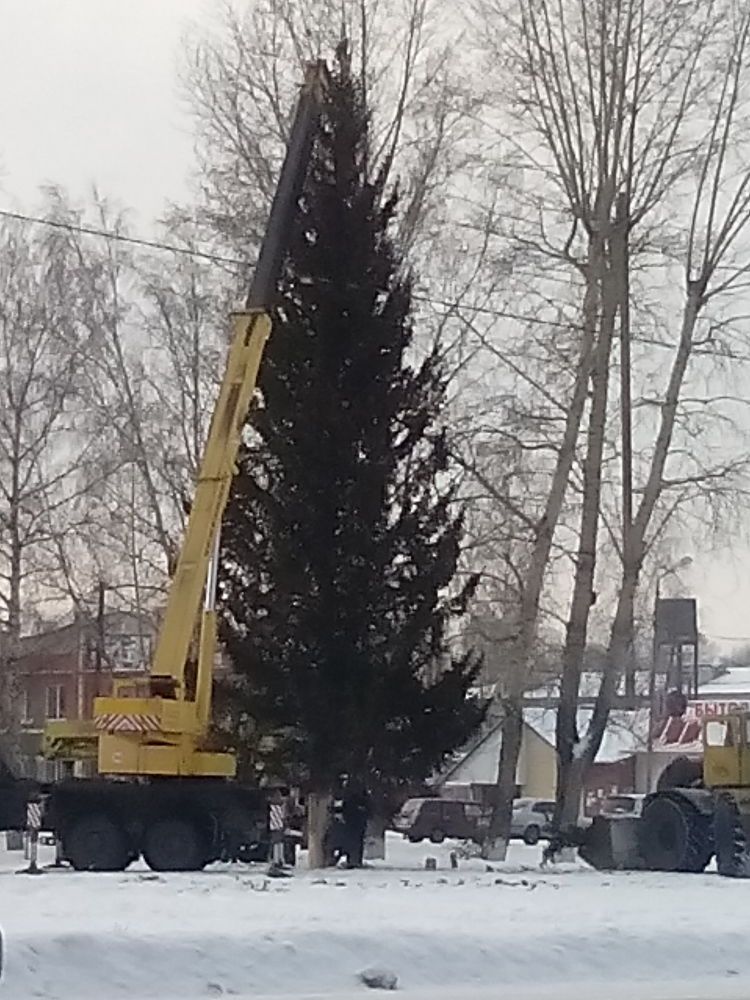 Городская ёлка