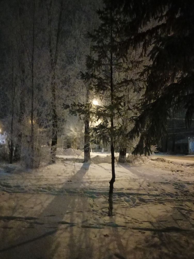 Зимняя сказка