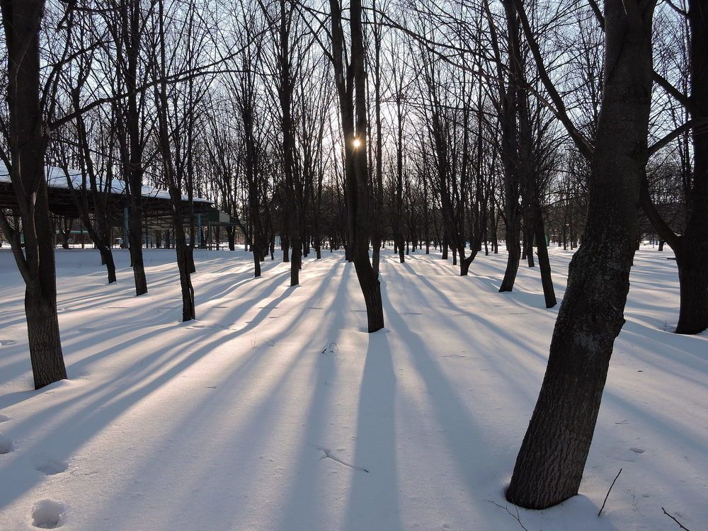 Photograph by Александр Захаров