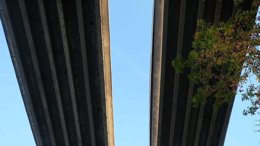 Photograph by Анна Панкратова