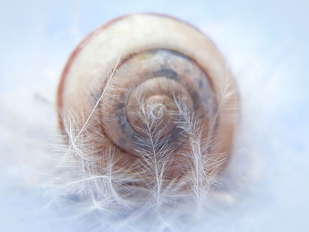 Морозные узоры