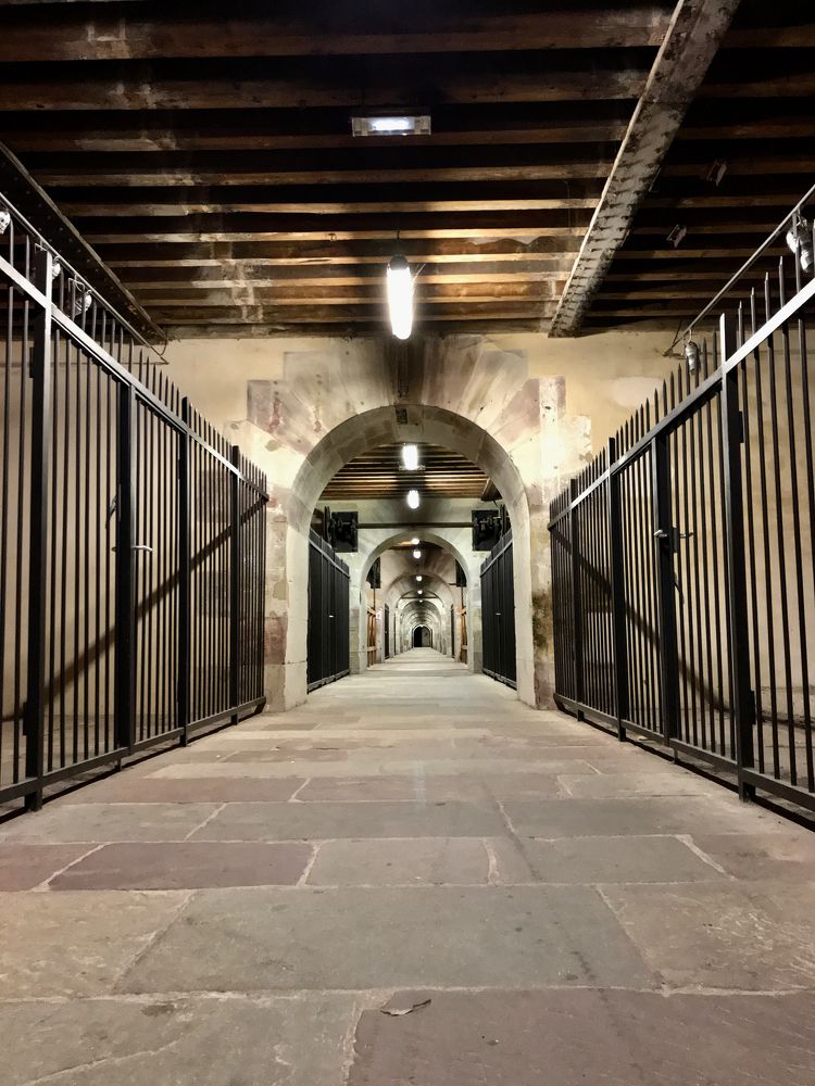 Фотография автора Андрей Симонов