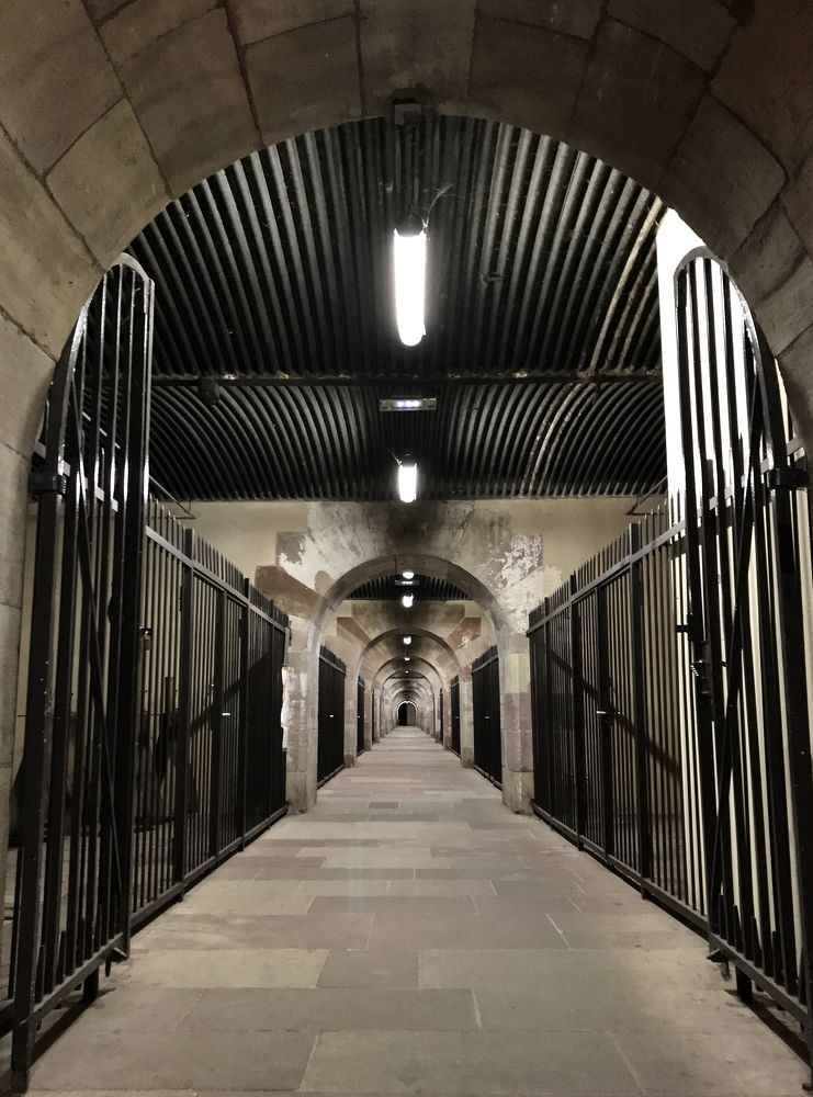 Фотография автора Андрей Симонов