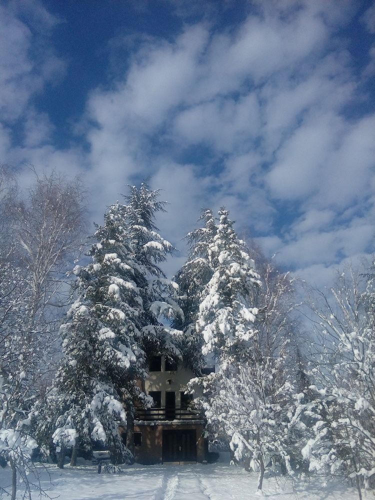 Ralja snow