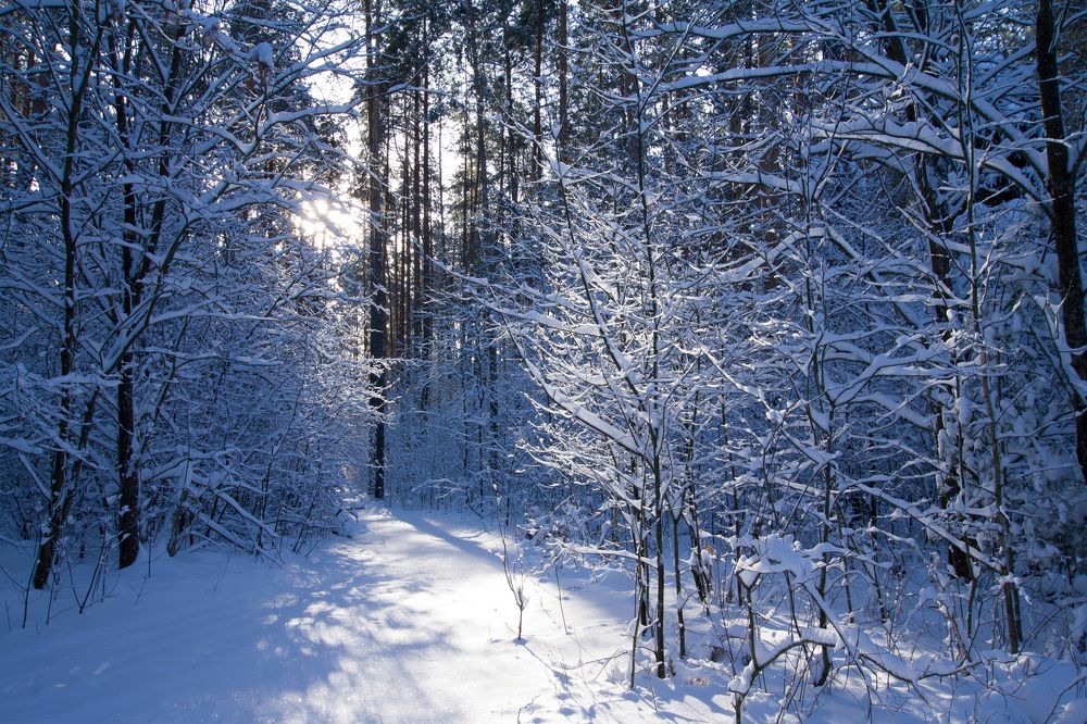 Холодное солнце