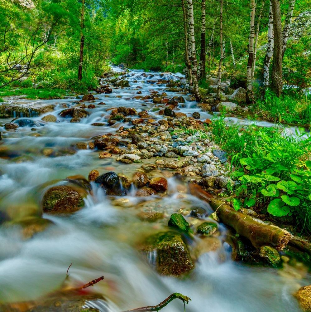 Горная река