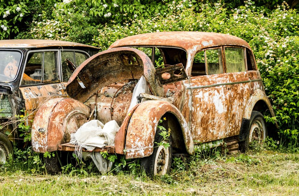 Photograph by Larisa Cekanaviсa