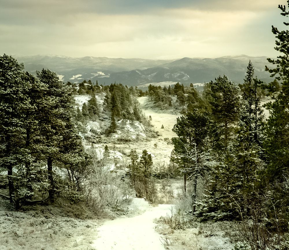 Åsen - первый снег