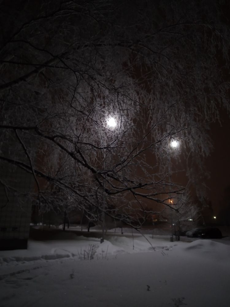 Взгляд ночи