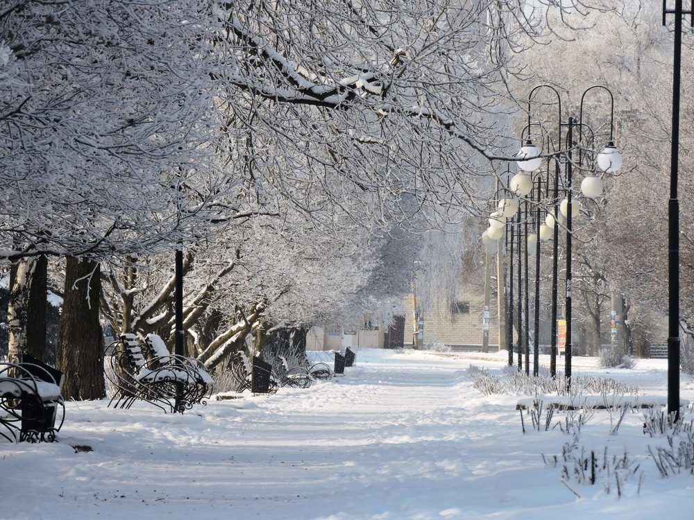 Первый снег