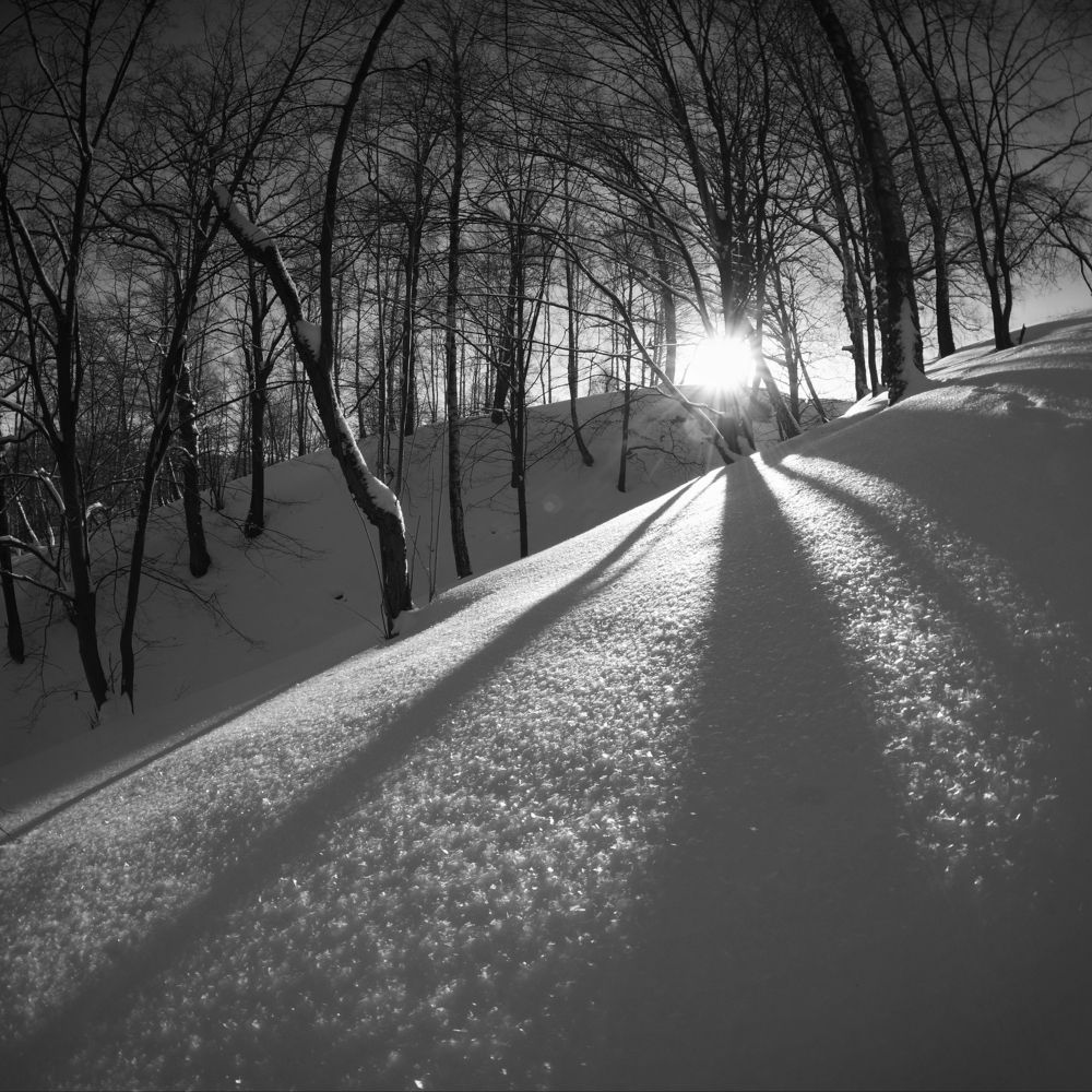 Photograph by Сергей Шляга