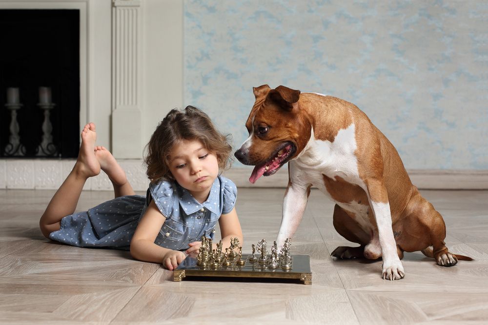 Шах и мат. Checkmate