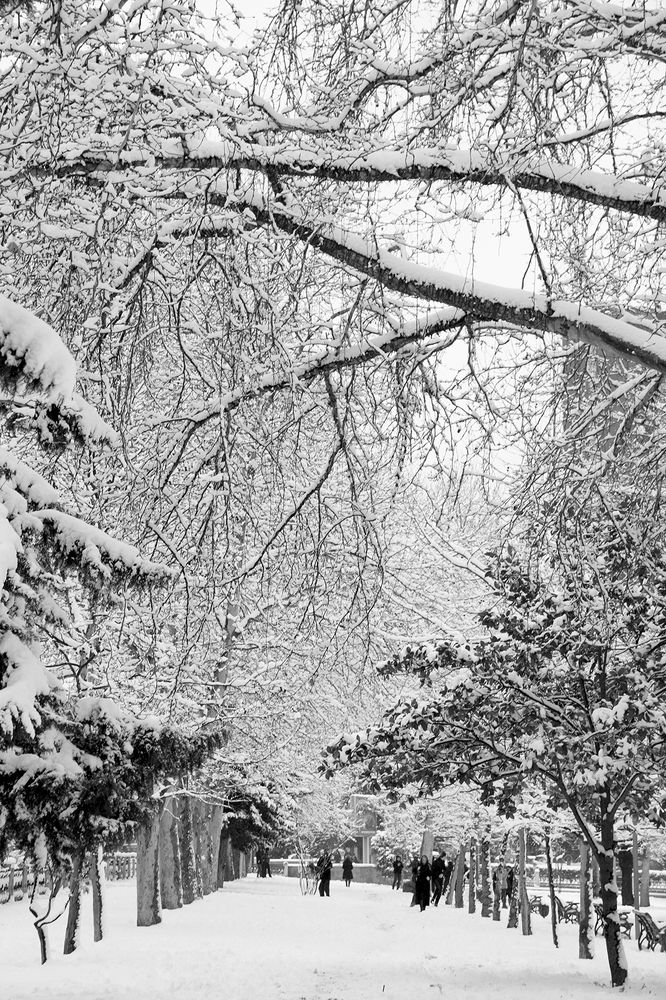 Зимний пейзаж