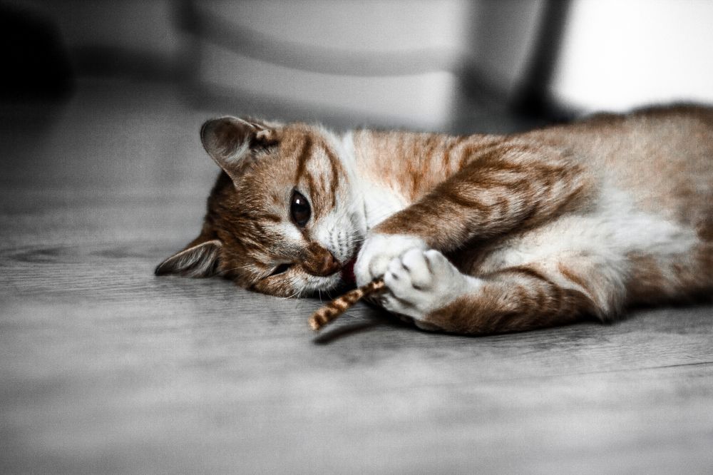 Photograph by Павел Милкин