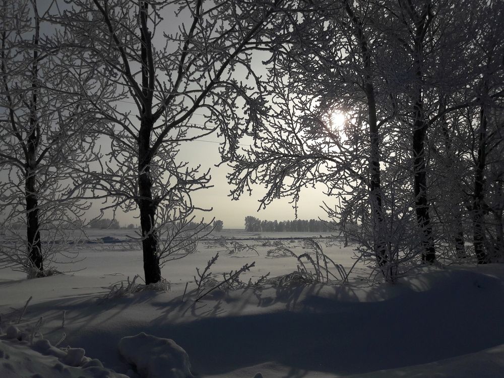 зимние узоры