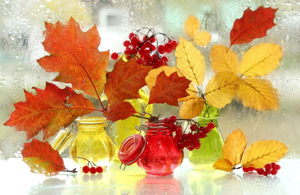 Разноцветье осени