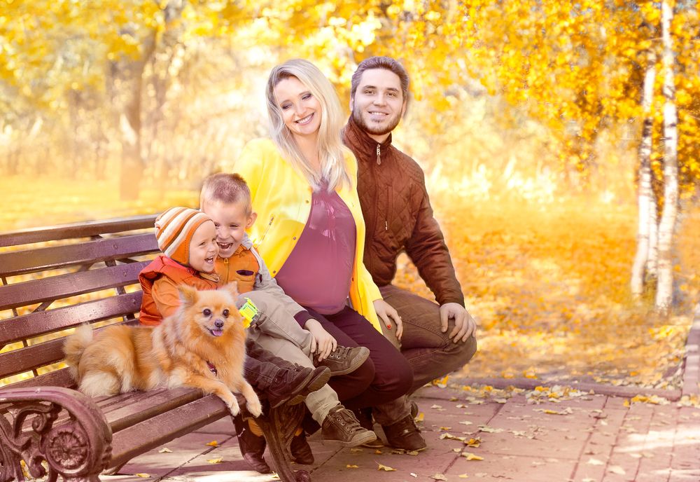 Закон сансары