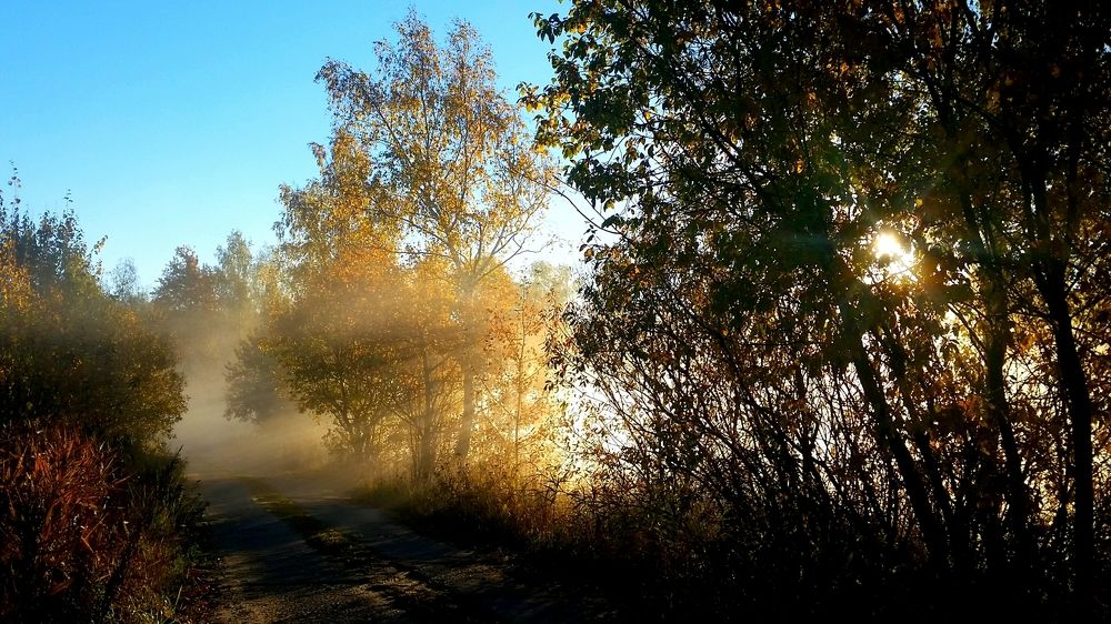 Утро туманное