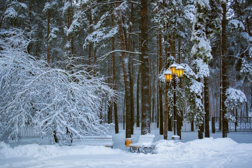 Желтый фонарь.