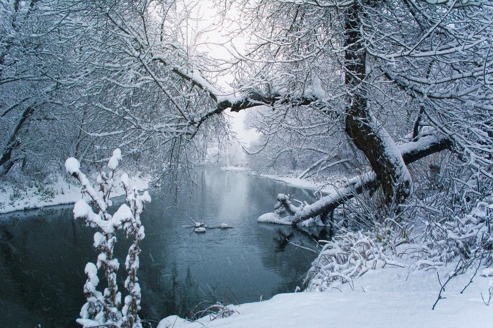 р. Нежеголь.