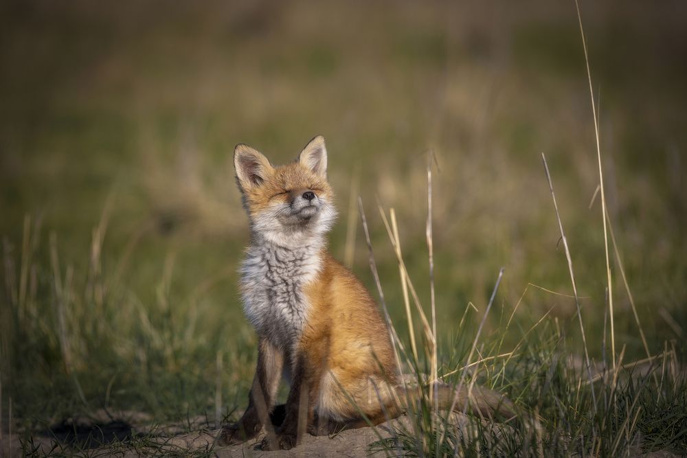 Жить хорошо!