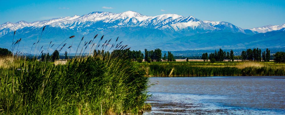 Родные края