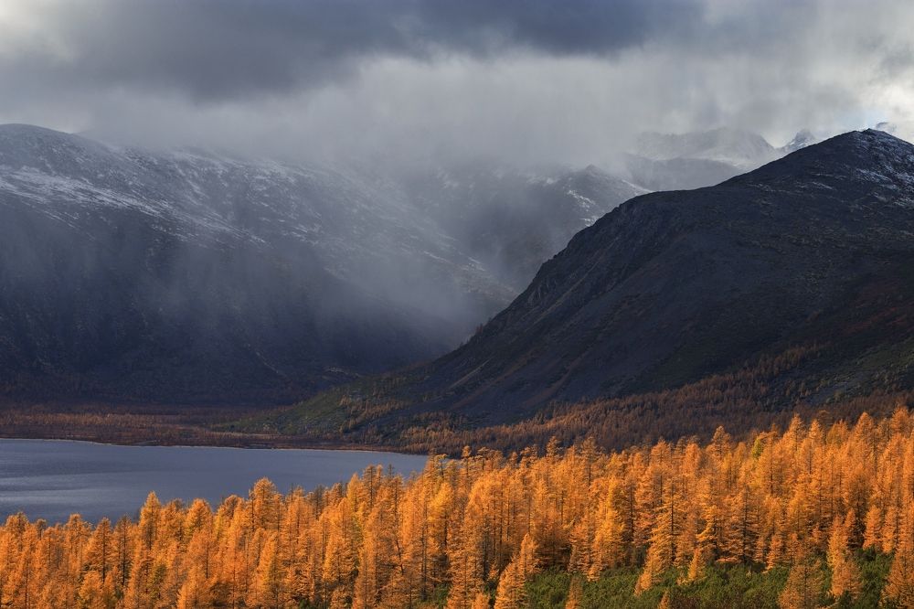 Снег идёт...