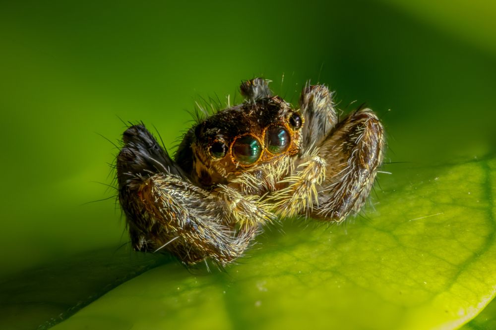 С широко раскрытыми глазами...