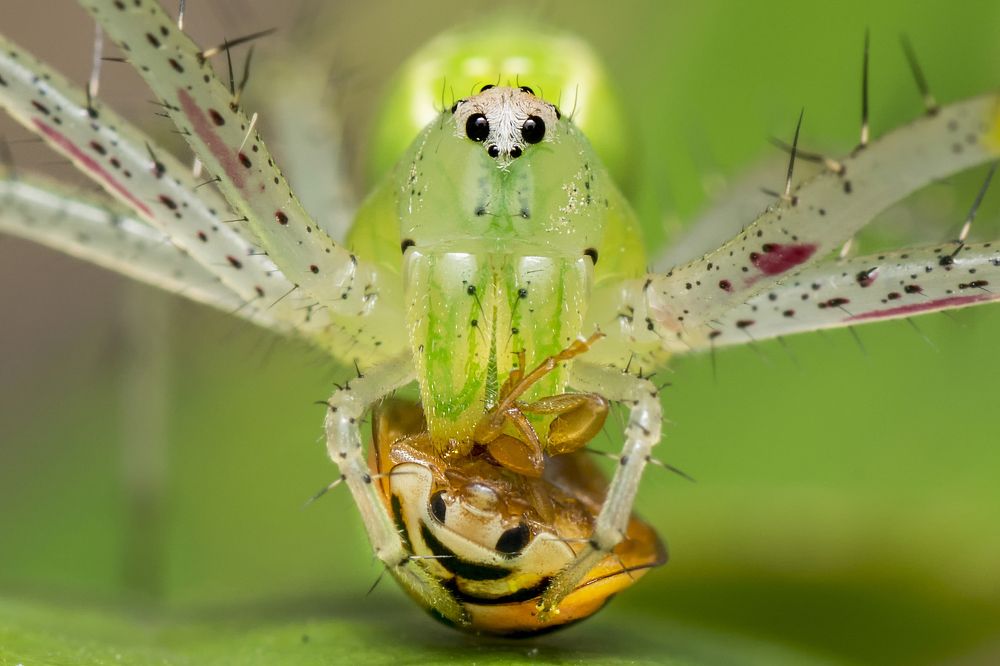 "Close up of a close encounter"